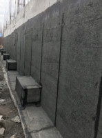 APP Membrane