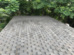 Shingles